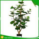 Artificial Green Ornamental Plant Indoor and Outdoor thumbnail-2