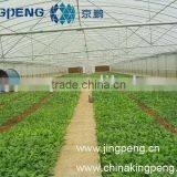 Multi Span Greenhouse thumbnail-1