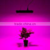 80x3 Watt 240watt Led Grow Light Old Style Cheap Led Grow Light thumbnail-6