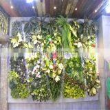 2017 Hot Sale Manufacturer Plastic Green Wall Panels for Outdoor or Indoor thumbnail-1