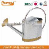 Garden Metal Watering Can thumbnail-6
