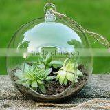 Unique Hanging Crystal Glass Flower Vases