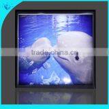 Double Side Outdoor Advertising Acrylic Round Led Light Box thumbnail-4