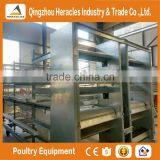 Shandong High Quality Trade Assurance Poultry Equipment Layer Chicken Cage for Sale thumbnail-4