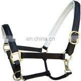 WHITE PADDED LEATHER HALTER thumbnail-1