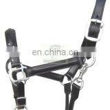 Cow Softy Padded Leather Halter MVE - 1056 thumbnail-1