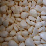 Garlic Peeling Machine Garlic Peeler Garlic Peeler Machine thumbnail-3