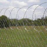 Hot Dipped Galvanized Razor Barbed Wire Security Fence Wire