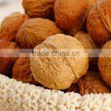 Organic Thin Walnut thumbnail-1