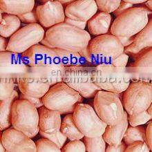 Wet Type Peanut Red Skin Peeling Machine thumbnail-5