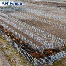 Farm-Strong Cattle Panel: Reinforced Welded Joints Provide Immovable Barriers for Stress-Free Animal Handling thumbnail-1