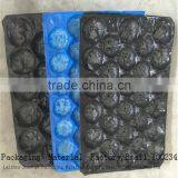 Professional Manufacturer Fresh Vegetable Plastic Packing Tray/fruit Plastic Packaging Tray thumbnail-4