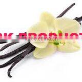 Natural Vanilla Essential Oil