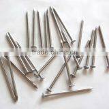 New Type Common Wire Nails Suppliers Directly thumbnail-1