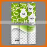 Unique Flyers and Pamphlet Design