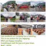 CE Approved Red Cedar Sauna Equipment Health Care Products China thumbnail-5