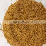 Rapeseeds thumbnail-1