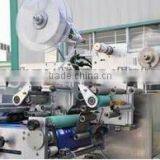 CD-300 Automatic Wet Tissue Packing Machine thumbnail-4