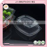 Disposable Plastic Salad Container thumbnail-4