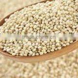 AMARANTH GRAIN INDIA OROGIN thumbnail-3