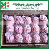 Fresh Fuji Apple Selling in China (Varieties: Fuji, Huaniu, Gala, Golden,qinguan, Red Star) thumbnail-6