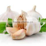 ISO 9001 Fresh White Garlic thumbnail-3