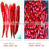 Hot Red Pepper thumbnail-1