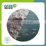 Probiotics Powder 200BL Bacillus Amyloliquefaciens Amino Acid Promoter From Lvkee thumbnail-4