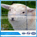 China manufacturer cheap sheep fencing netting