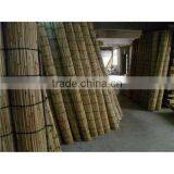 high quantity natural reed fence/ rolled reed fence