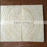 Rainbow Turbo Snail Shell Laminate Sheets