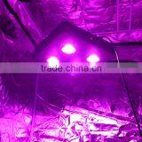 432W COB LED Grow Light Top Quality Powerful Grow Lights Available for Indoor Medical Cultivation thumbnail-6