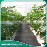pp Weed Mat Weed Contol Barrier Groundcover thumbnail-3