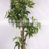 China Hot Sale Evergreen Fake Money Tree ,artificial Pachira thumbnail-1