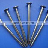 Bright Common Iron Nail (supplier)