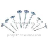 High Quality Umbrella Head Galvanized Roofing Nail thumbnail-3