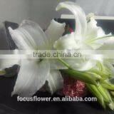 Supply Special Cut Fresh White Lily With High Quality thumbnail-1