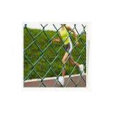 Diamond Metal Fence thumbnail-1
