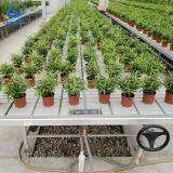 Ebb and Flow Tray Greenhouse Nursery Growing Rolling Tables thumbnail-2