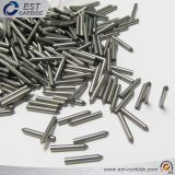 High Quality Hard Alloy Needle/Pins