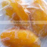 Best Price Fresh Yellow Mango with High Quality