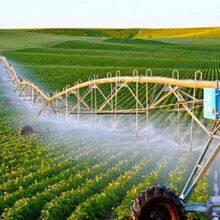 AGRICULTURE thumbnail-1