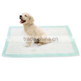 Potty Training Puppy Cheap Pee Pads for Dogs Dog Training Tricks