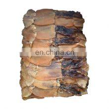 Frozen Indian Ocean Dried Squid for Export