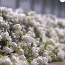 High Fragrance Jasmine Green Tea for Bubble Tea Chinese Jasmine Scented Loose Leaf Jasmine Green Tea Leaves thumbnail-4