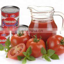 100-200 Kg/h Small Tomato Paste Processing Plant