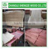 Bintangor Plywood 1220x2440 Different Thickness Price thumbnail-4