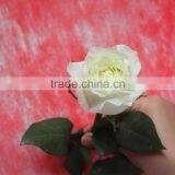 Durable Tineke White Rose Balls Wedding thumbnail-3