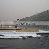 2.50mm HDPE Geomembrane Liner for Chemical Plant