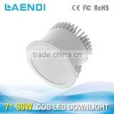 China Antique Led Ceiling Lights Laendi Factory Price